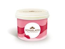 JOYFRUIT FRUITS DES BOIS JOYGELATO 3,5KG